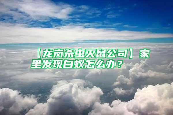 【龍崗殺蟲滅鼠公司】家里發現白蟻怎么辦？