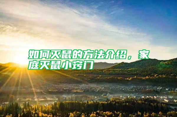 如何滅鼠的方法介紹，家庭滅鼠小竅門