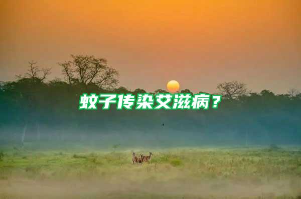 蚊子傳染艾滋??？