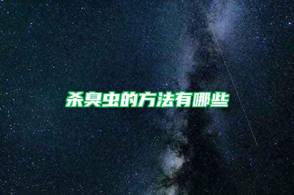 殺臭蟲(chóng)的方法有哪些