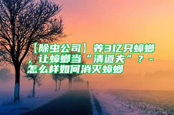 【除蟲公司】養(yǎng)3億只蟑螂，讓蟑螂當“清道夫”？-怎么樣如何消滅蟑螂