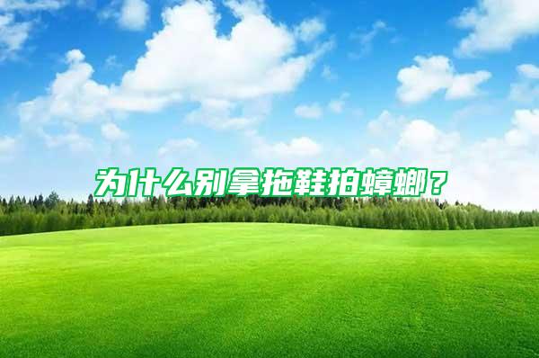 為什么別拿拖鞋拍蟑螂？