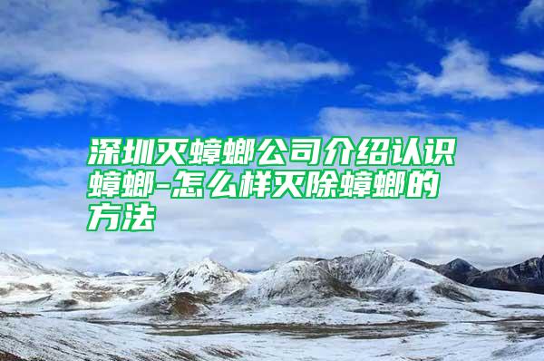 深圳滅蟑螂公司介紹認(rèn)識(shí)蟑螂-怎么樣滅除蟑螂的方法