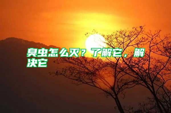 臭蟲(chóng)怎么滅？了解它，解決它