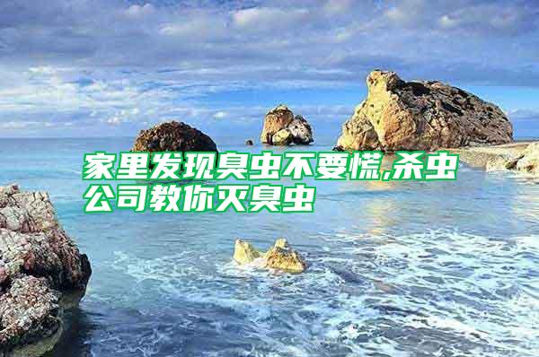家里發現臭蟲不要慌,殺蟲公司教你滅臭蟲