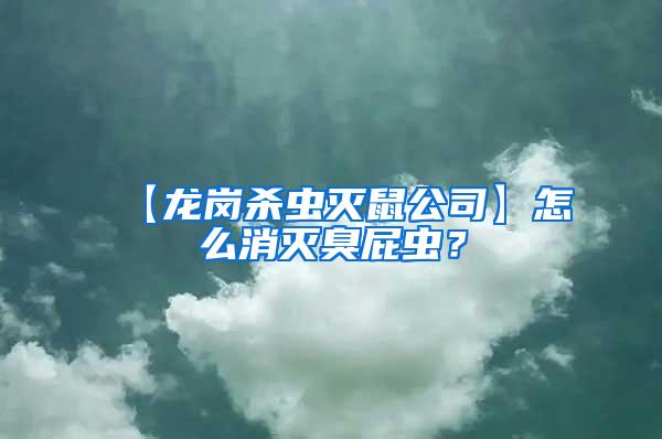 【龍崗殺蟲滅鼠公司】怎么消滅臭屁蟲？