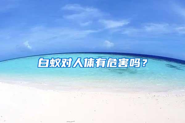 白蟻對人體有危害嗎？