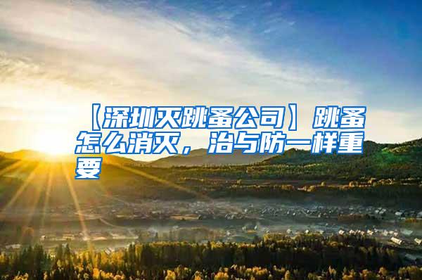 【深圳滅跳蚤公司】跳蚤怎么消滅，治與防一樣重要