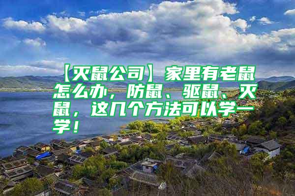 【滅鼠公司】家里有老鼠怎么辦，防鼠、驅(qū)鼠、滅鼠，這幾個方法可以學(xué)一學(xué)！