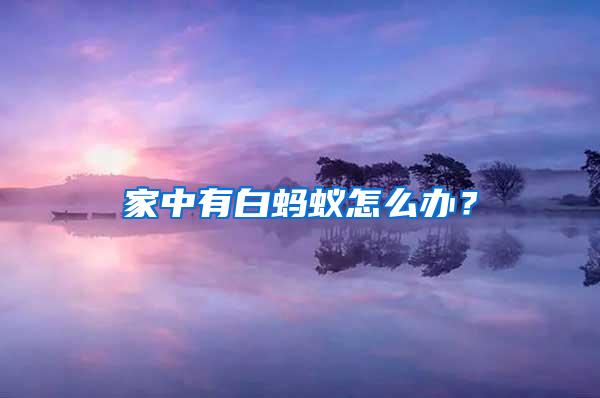 家中有白螞蟻怎么辦？