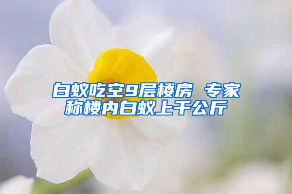 白蟻吃空9層樓房 專家稱樓內(nèi)白蟻上千公斤