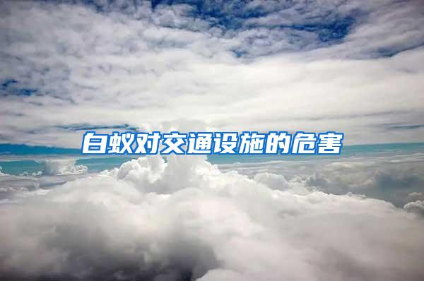 白蟻對交通設(shè)施的危害