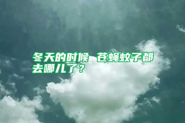 冬天的時候 蒼蠅蚊子都去哪兒了？