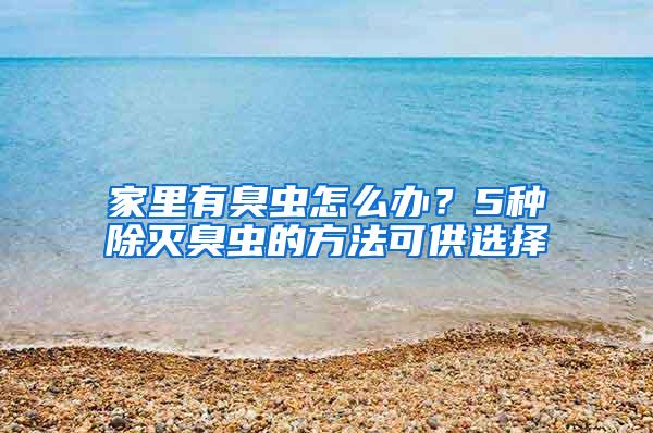 家里有臭蟲怎么辦？5種除滅臭蟲的方法可供選擇