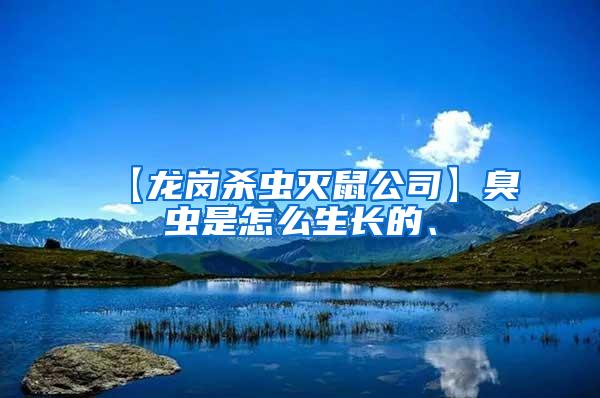【龍崗殺蟲(chóng)滅鼠公司】臭蟲(chóng)是怎么生長(zhǎng)的、