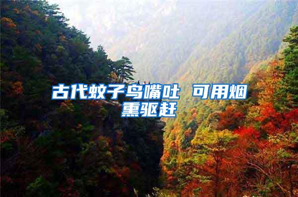 古代蚊子鳥嘴吐 可用煙熏驅趕