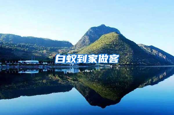 白蟻到家做客