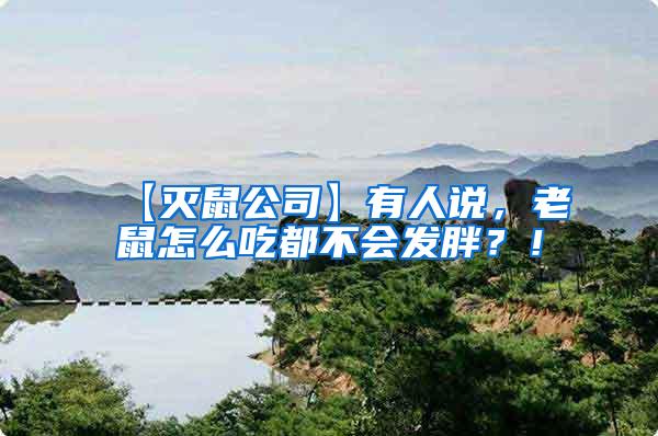 【滅鼠公司】有人說，老鼠怎么吃都不會發(fā)胖？！