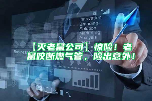 【滅老鼠公司】驚險！老鼠咬斷燃氣管，險出意外！