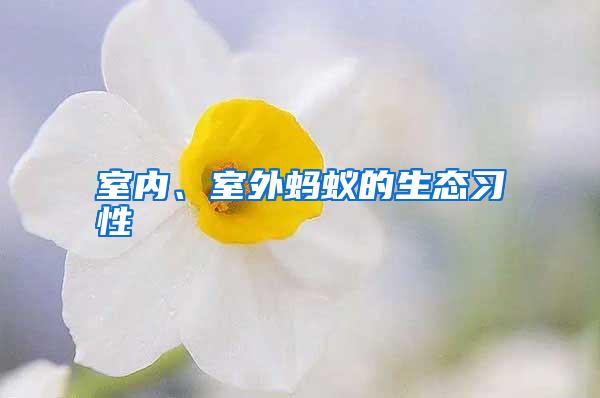 室內、室外螞蟻的生態習性