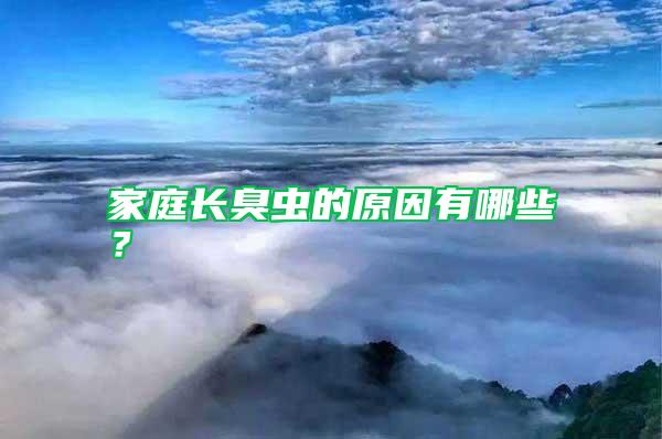 家庭長(zhǎng)臭蟲(chóng)的原因有哪些？