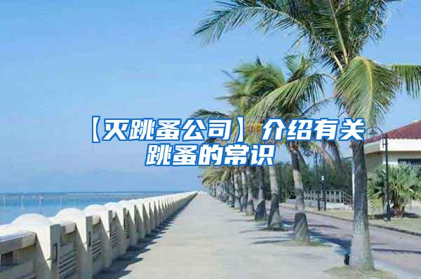 【滅跳蚤公司】介紹有關(guān)跳蚤的常識(shí)