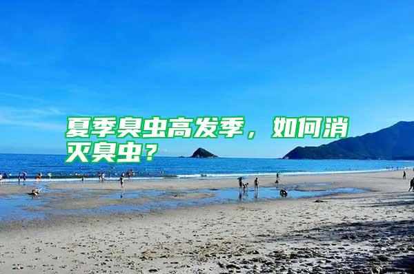 夏季臭蟲高發(fā)季，如何消滅臭蟲？