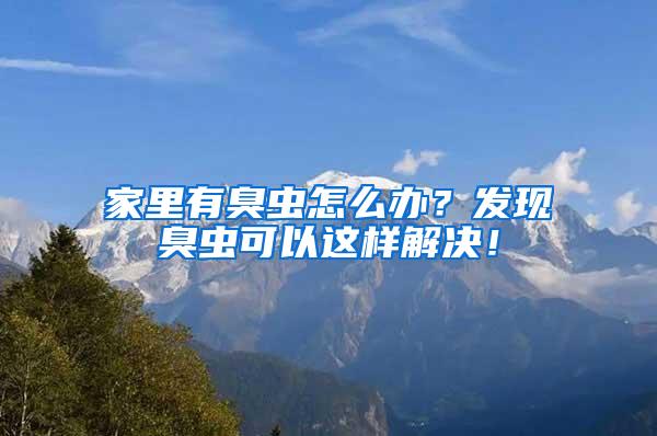 家里有臭蟲怎么辦？發現臭蟲可以這樣解決！