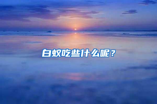 白蟻吃些什么呢？