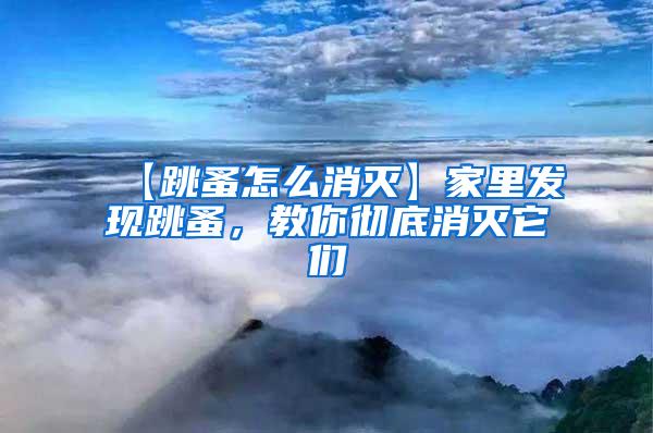 【跳蚤怎么消滅】家里發現跳蚤，教你徹底消滅它們