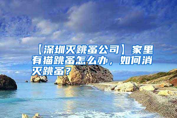 【深圳滅跳蚤公司】家里有貓跳蚤怎么辦，如何消滅跳蚤？