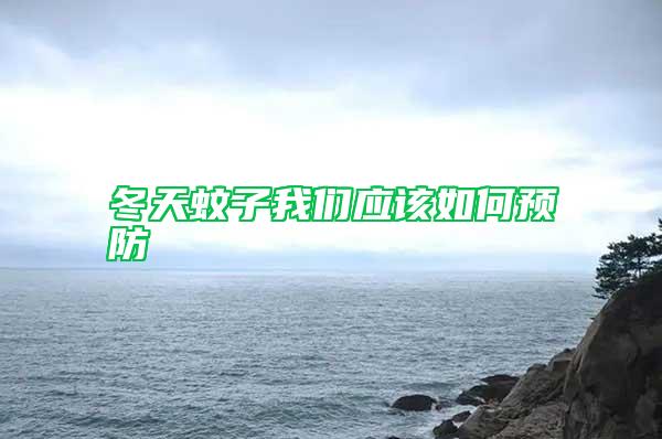 冬天蚊子我們應(yīng)該如何預防