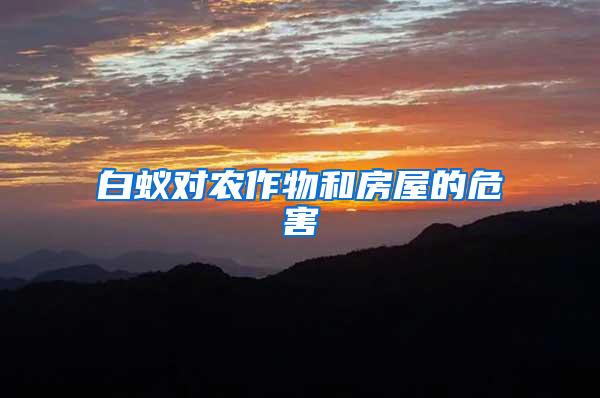 白蟻對農作物和房屋的危害