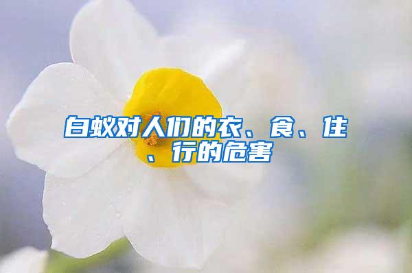 白蟻對人們的衣、食、住、行的危害