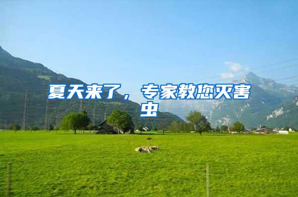 夏天來(lái)了，專家教您滅害蟲(chóng)