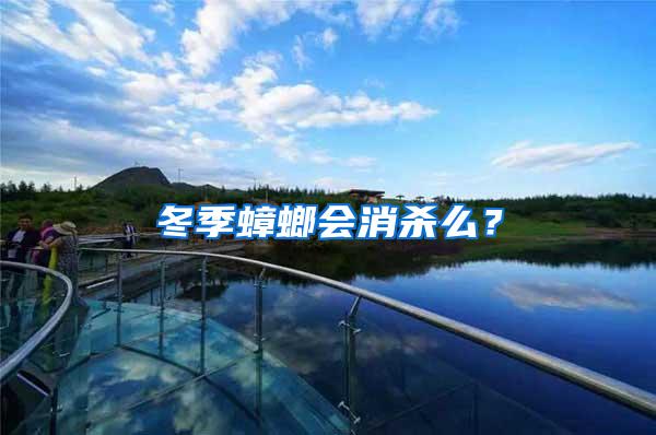 冬季蟑螂會(huì)消殺么？