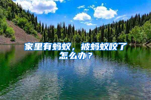 家里有螞蟻，被螞蟻咬了怎么辦？