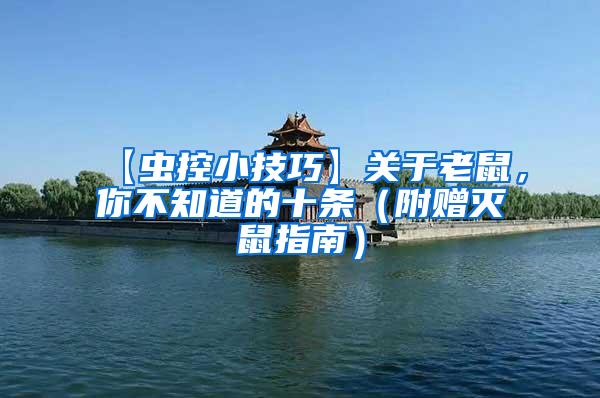【蟲控小技巧】關于老鼠，你不知道的十條（附贈滅鼠指南）