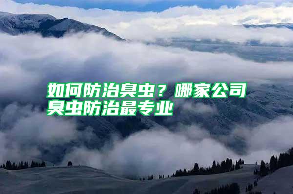 如何防治臭蟲？哪家公司臭蟲防治最專業