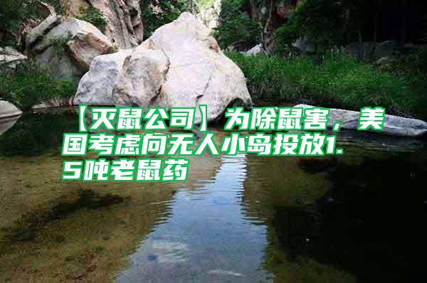 【滅鼠公司】為除鼠害，美國考慮向無人小島投放1.5噸老鼠藥