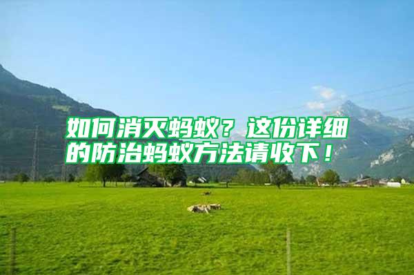 如何消滅螞蟻？這份詳細(xì)的防治螞蟻方法請(qǐng)收下！