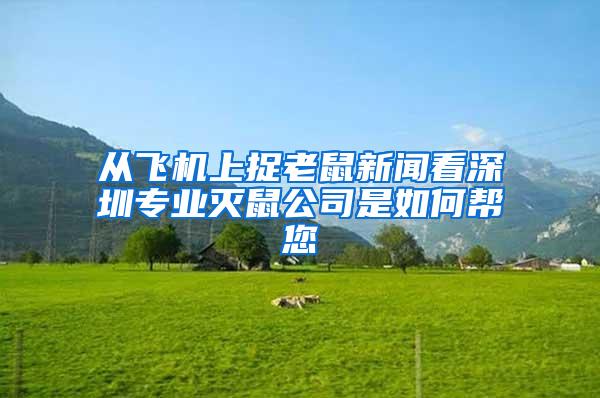 從飛機(jī)上捉老鼠新聞看深圳專(zhuān)業(yè)滅鼠公司是如何幫您