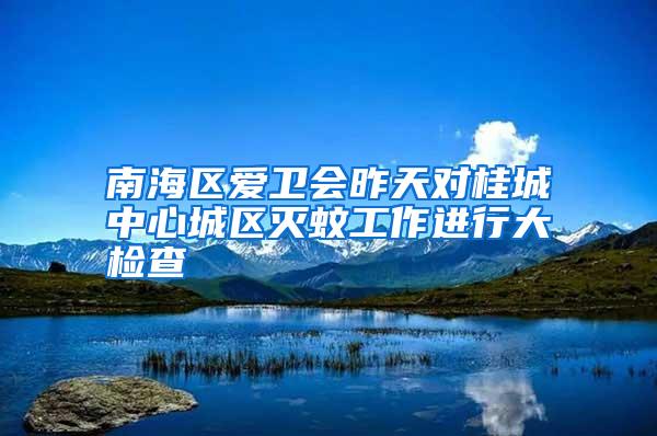 南海區愛衛會昨天對桂城中心城區滅蚊工作進行大檢查