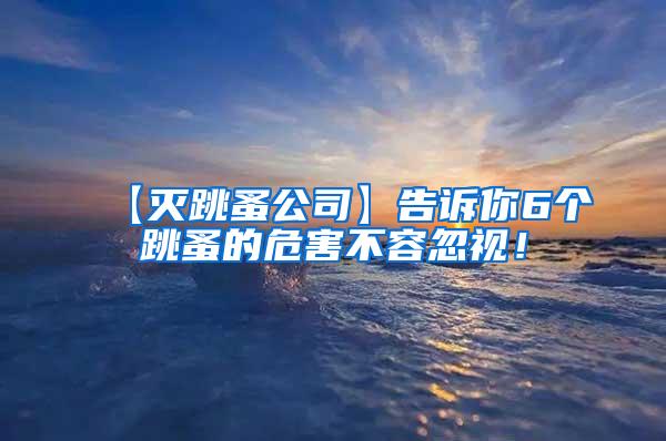 【滅跳蚤公司】告訴你6個跳蚤的危害不容忽視！