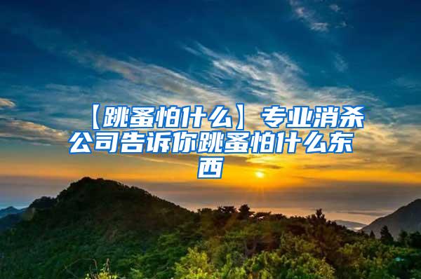 【跳蚤怕什么】專業消殺公司告訴你跳蚤怕什么東西