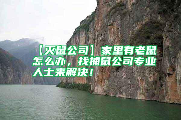 【滅鼠公司】家里有老鼠怎么辦，找捕鼠公司專業人士來解決！