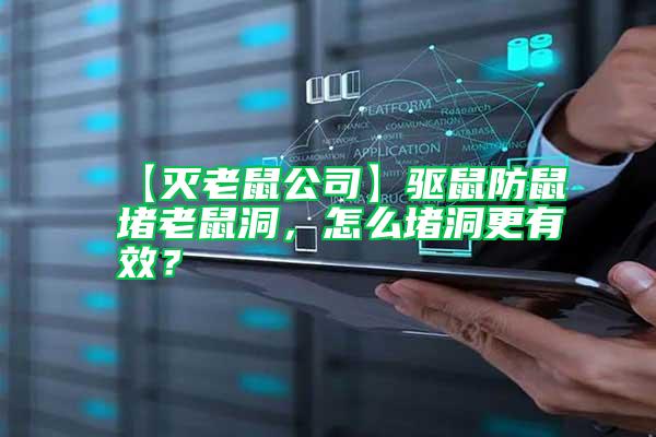 【滅老鼠公司】驅鼠防鼠堵老鼠洞，怎么堵洞更有效？