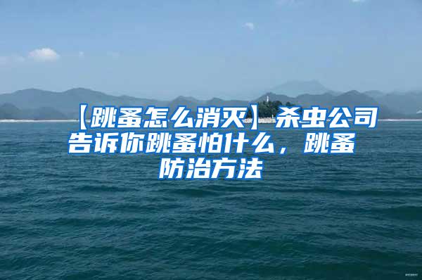 【跳蚤怎么消滅】殺蟲公司告訴你跳蚤怕什么，跳蚤防治方法
