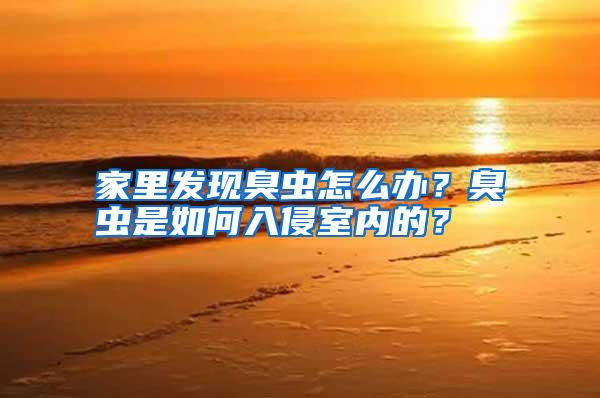 家里發(fā)現臭蟲怎么辦？臭蟲是如何入侵室內的？