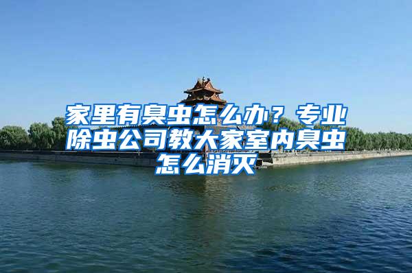家里有臭蟲怎么辦？專業除蟲公司教大家室內臭蟲怎么消滅